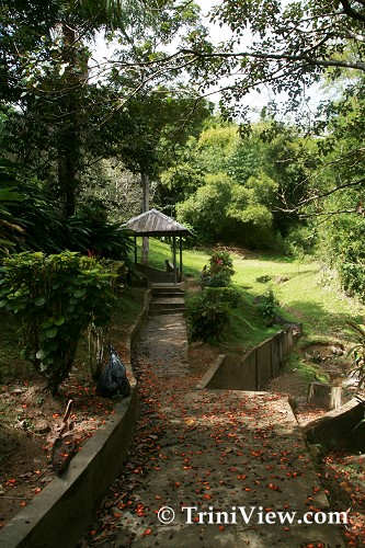tob0501088121.jpg
