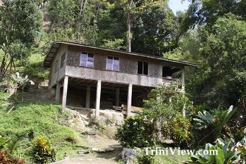 tobA0601080146.jpg