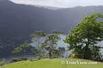 tobA0601080326.jpg
