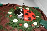 cakes2408085429.jpg