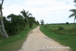 pmC0410082286.jpg