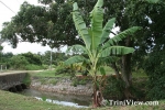 pmC0410082287.jpg