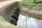 narM0410087918.jpg