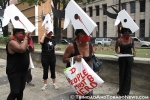 Herded Cows Protest