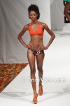 fwttM0106093253.jpg