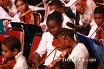 gcoL2808118551.jpg